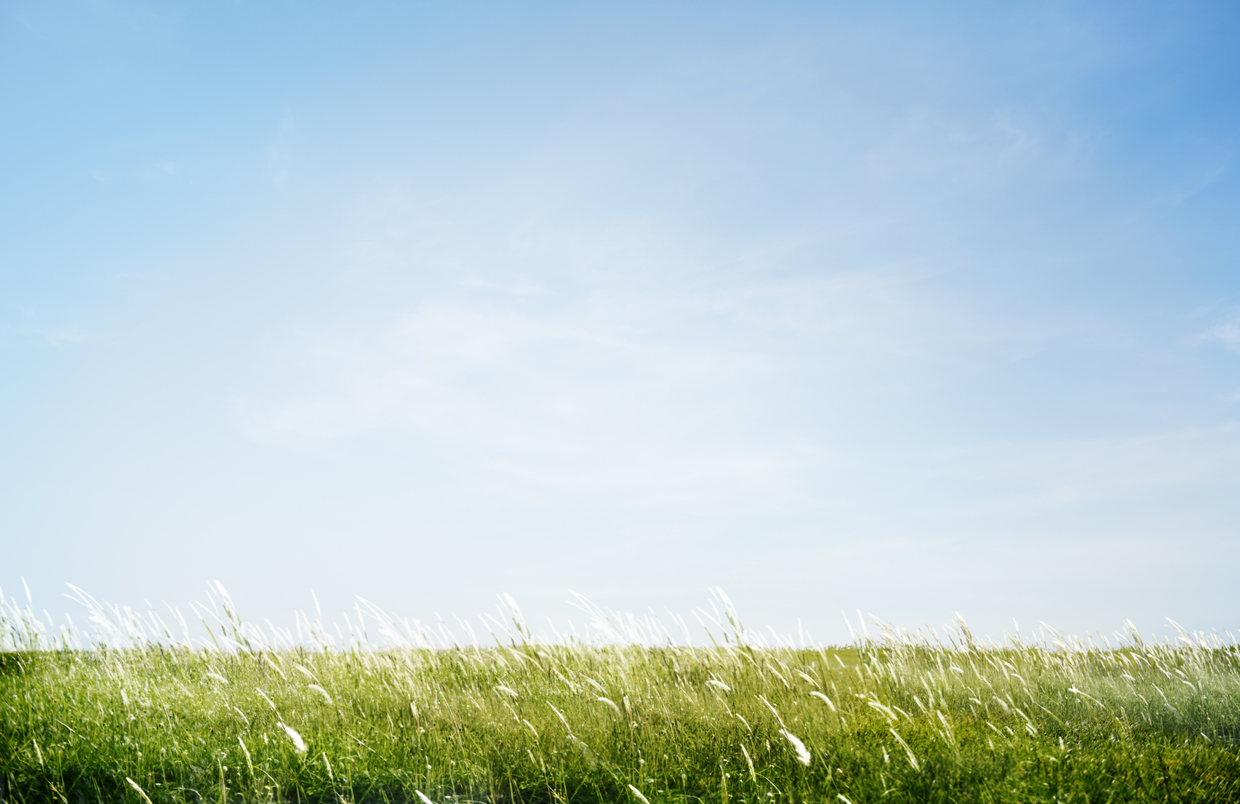 Kalnciemā veikts gaisa monitorings – gaisa kvalitāte vērtējama kā laba